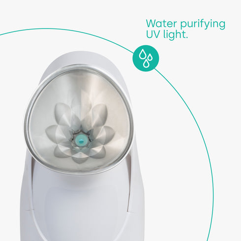 Facial Steamer with UV Purifier